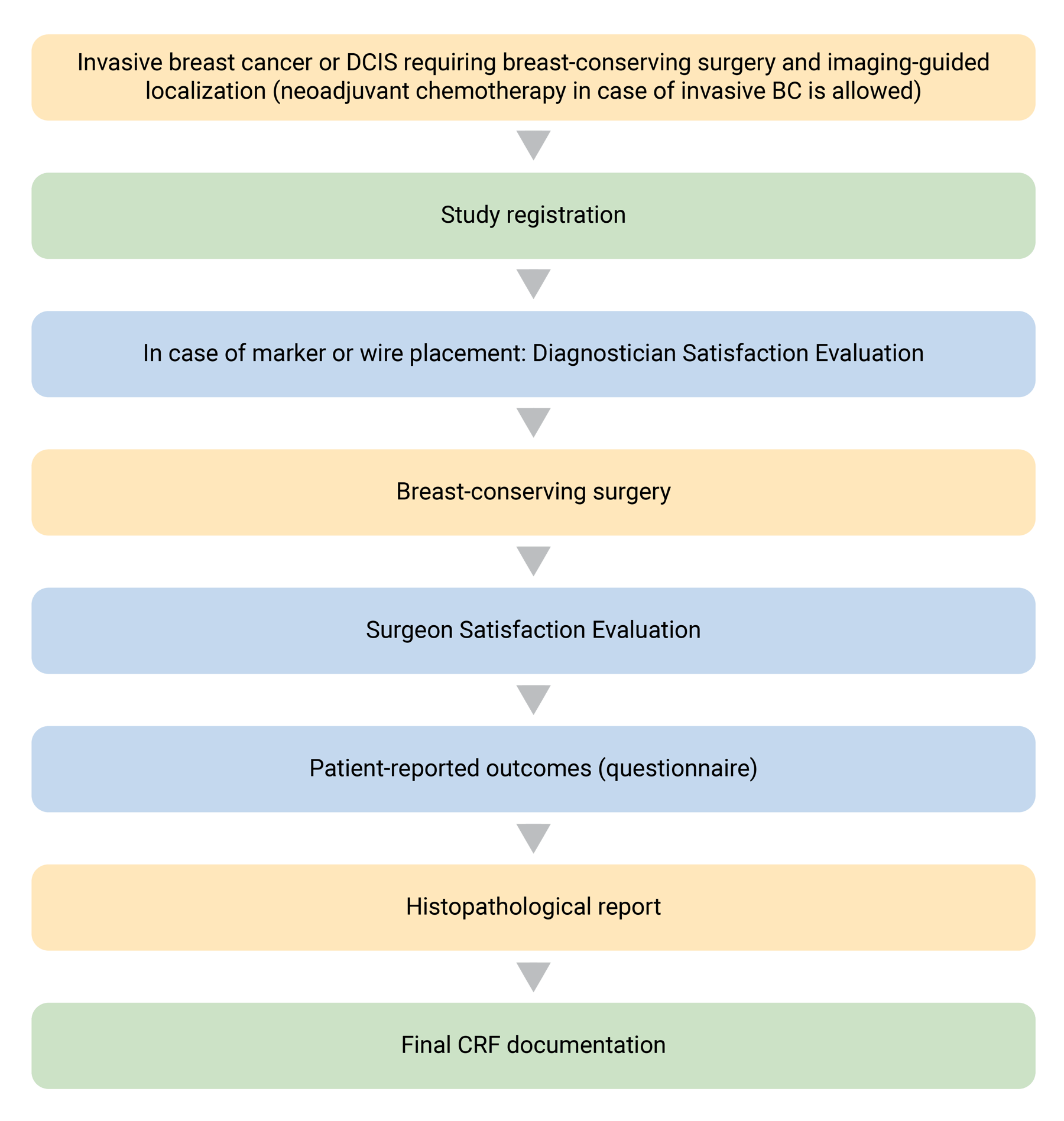MELODY_Flow chart_2025